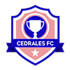 Soccer Logo